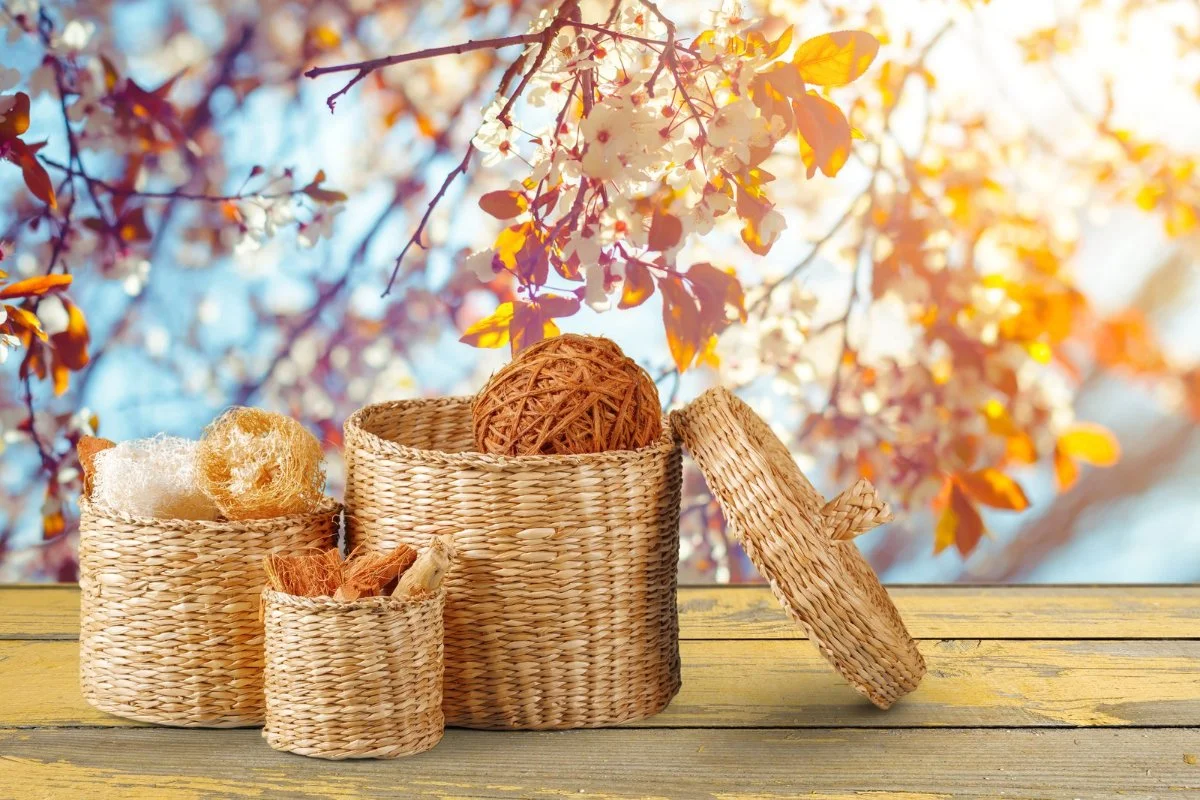 Panier en osier : comment le choisir et l'entretenir au quotidien